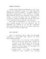 Referāts 'Radio reklāma', 1.