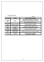 Biznesa plāns 'SIA "Kleopatra"', 21.