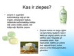 Prezentācija 'Ziepes', 3.