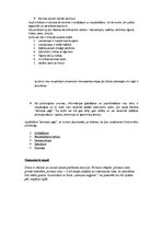 Konspekts 'Atmiņa', 2.