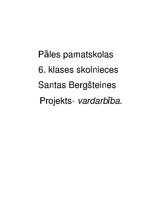 Referāts 'Projekts', 1.