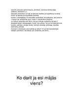 Referāts 'Projekts', 7.