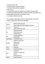 Eseja 'Uzvedības etiķete Lieldienās', 4.