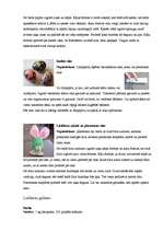 Eseja 'Uzvedības etiķete Lieldienās', 7.