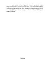 Referāts 'Ķīnas attīstība', 3.