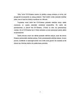 Referāts 'Identitātes epiģenēze salīdzinājumā ar citām teorijām', 3.