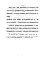 Referāts 'Elites un sabiedrības attiecību izpratne politikas teorijā', 13.