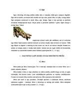 Referāts 'Jauktu koku mežs', 5.