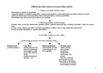 Referāts 'SIA "Flamingo" mārketinga raksturojums', 4.