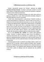 Referāts 'SIA "Flamingo" mārketinga raksturojums', 6.