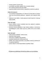 Referāts 'SIA "Flamingo" mārketinga raksturojums', 9.