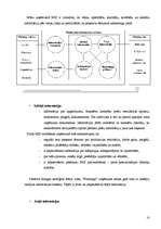Referāts 'SIA "Flamingo" mārketinga raksturojums', 10.
