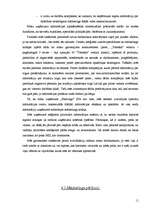 Referāts 'SIA "Flamingo" mārketinga raksturojums', 11.