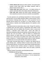 Referāts 'SIA "Flamingo" mārketinga raksturojums', 13.