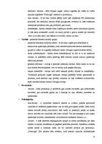 Referāts 'SIA "Flamingo" mārketinga raksturojums', 16.