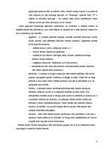 Referāts 'SIA "Flamingo" mārketinga raksturojums', 17.