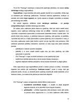 Referāts 'SIA "Flamingo" mārketinga raksturojums', 19.