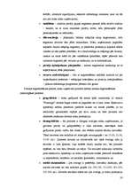 Referāts 'SIA "Flamingo" mārketinga raksturojums', 20.