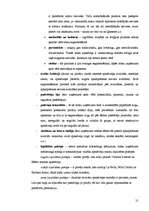 Referāts 'SIA "Flamingo" mārketinga raksturojums', 21.