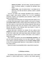 Referāts 'SIA "Flamingo" mārketinga raksturojums', 22.