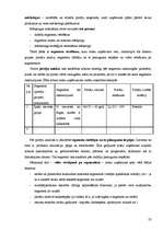 Referāts 'SIA "Flamingo" mārketinga raksturojums', 23.