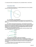 Konspekts 'Prizmatiskie efekti lēcās un acs rotācijas ietekme uz lēcu prizmatiskajiem efekt', 3.