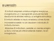 Prezentācija 'Limfocīti', 3.