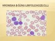 Prezentācija 'Limfocīti', 14.