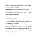 Referāts 'Līderisms', 5.