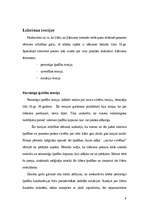 Referāts 'Līderisms', 6.