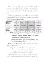 Referāts 'Līderisms', 19.