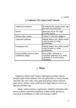 Biznesa plāns 'SIA "Papīra trauki" biznesa plāns', 6.