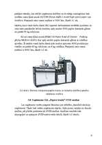 Biznesa plāns 'SIA "Papīra trauki" biznesa plāns', 13.