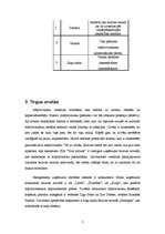 Biznesa plāns 'Mājdzīvnieku viesnīca', 7.