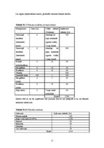 Biznesa plāns 'Mājdzīvnieku viesnīca', 15.