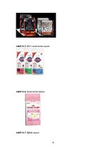 Biznesa plāns 'Mājdzīvnieku viesnīca', 18.