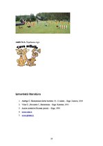 Biznesa plāns 'Mājdzīvnieku viesnīca', 19.