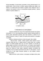 Referāts 'Internās aprūpes māsu zināšanas par izgulējumu profilaksi sociālās aprūpes centr', 7.