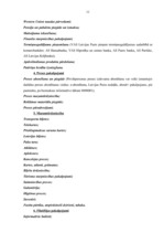 Prakses atskaite 'Grāmatvedības prakses atskaite VAS "Latvijas Pasts"', 10.