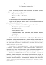 Prakses atskaite 'Grāmatvedības prakses atskaite VAS "Latvijas Pasts"', 15.