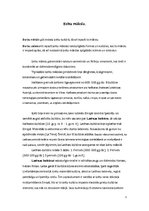 Konspekts 'Ķeltu māksla', 1.