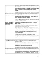 Prakses atskaite 'Aktīvā mācību un audzināšanas prakse pirmsskolā', 4.