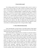 Referāts 'Zīmola teorētiskie aspekti', 1.