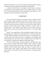 Referāts 'Zīmola teorētiskie aspekti', 9.