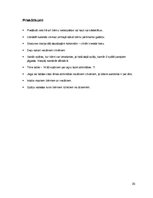 Prakses atskaite 'Prakses atskaite viesnīcā "Golden Bahia de Tossa & Spa"', 20.