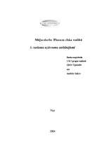 Referāts 'Finanšu riska vadība', 1.
