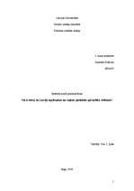 Referāts 'Vai ir ētiski, ka Latvijā nepilsoņiem nav atļauts piedalīties pašvaldību vēlēšan', 1.