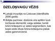 Prezentācija 'Vēžu klase', 22.
