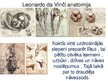 Prezentācija 'Dižrenesanses mākslinieki Itālijā 15.-16.gadsimtā', 4.