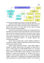 Referāts 'Datu vākšanas metožu un tehniku izvēle. Datu šķirošanas metodes', 11.